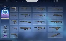 conta no valorant, com skins, rank : platina