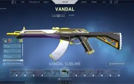 conta no valorant, com skins, rank : platina