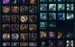 CONTA PLATINA 2 - 515 SKINS