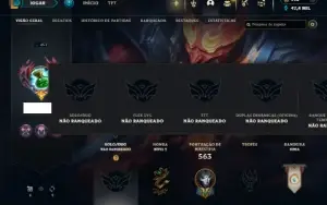Unranked com TODOS os champs e 172 Skins ( ADC / SUP )