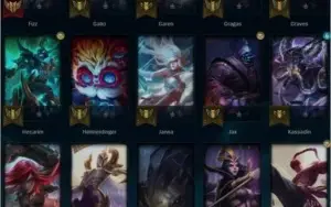 conta platina 2