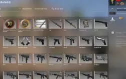 Conta Csgo 10 Anos Com Prime