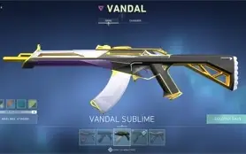 Conta Valorant - imortal - 500 reais gastos!