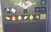 vendo 6 contas com dofus itens e kamas 1200 reais