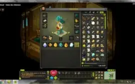 vendo 6 contas com dofus itens e kamas 1200 reais
