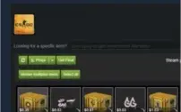 Conta cs go - Medalha 5 e 10 anos