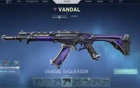 Conta valorant 790$ gastos Diamante 1