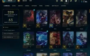 Conta Valorant e lol, 8k gastos no total