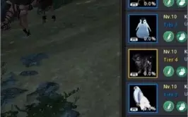 BDO BRUXA lvl 62 - 261 AP - FULL TET - EMAIL OK! ITENS P2W