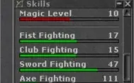 Knight Rowana Pvp level 324 skills 111/103 ml 10 com rk !!!