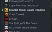 Conta Steam LVL 17- CSGO - GTAV - NARUTO SHIPPUDEN 4 - PUBG