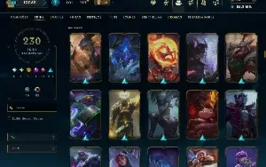 CHALLENGER FLEX 230 skins,nível 637 -MESTRE SOLQ