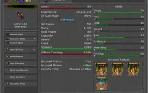 MS 163 ML 74 + PALLY 38 SKILL 98/88 + ACC LOYALTY POINTS 967
