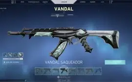 CONTA NO VALORANT COM 98 SKINS! Platina