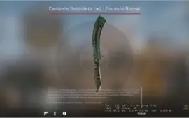 ★ Butterfly Knife |Floresta Boreal (0.18 de float)