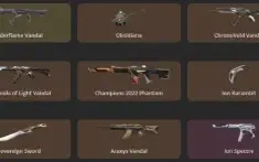 Conta Valorant Com 3 Facas E 60 Skins (Pacote Ion Completo)