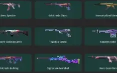 Conta Valorant Com 3 Facas E 60 Skins (Pacote Ion Completo)