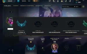 Platina 4 com 31 Champs e 4 Skins