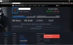 Conta Steam 7 anos ,Nível 72 , 315 Jogos