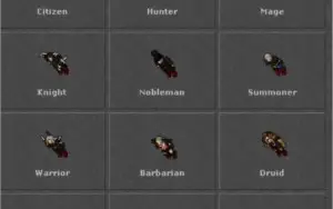 Royal Paladin 365 - Server BR - Descubra - COM RK