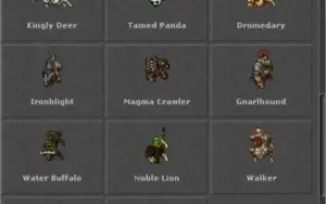 Royal Paladin 365 - Server BR - Descubra - COM RK