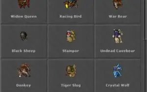 Royal Paladin 365 - Server BR - Descubra - COM RK