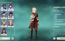 Ar40. Kazuha + “bis”, alhaitham, Nahida, Ayaka, diluc