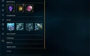 GOLD 4, WR BOM + SKINS. EMAIL NÃO CONFIRMADO