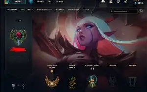GOLD 4, WR BOM + SKINS. EMAIL NÃO CONFIRMADO