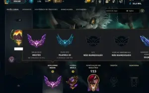 Mestre com 55 Champs e 12 Skins ( 15 PDL )