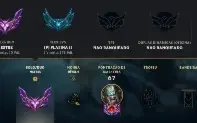 Conta Mestre Solo/Duo Supplyboost