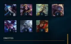 Conta Mestre Solo/Duo Supplyboost