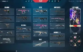 Conta Valorant Full Acesso Com Skins De Vandal