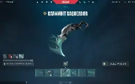 Conta Valorant com Karambit Saqueadora e mais LEIA A DESCRIÇ