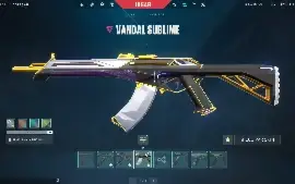 Conta Valorant com Karambit Saqueadora e mais LEIA A DESCRIÇ