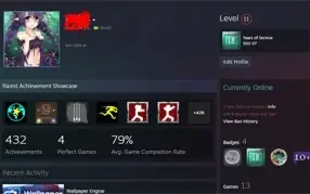 CONTA STEAM 18 ANOS DE SERVIÇO, LV 10, PUBG WALLPAPER ENGINE