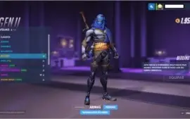 Conta Overwatch - Incluso Ediçao Origins/GOTY