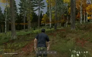 WallHack para Dayz || Apenas para servidores piratas