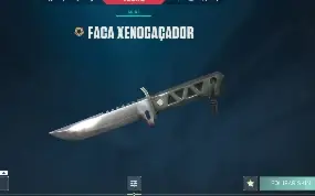 Conta Valorant Full Acesso, +400R$ Gastos, Faca Xenohunter