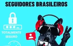 Ig | 1K De Seguidores Br,Otima Qualidade🔥