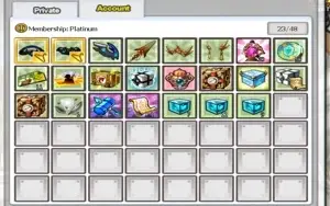 Conta Elsword EU, perfeita para começar bem barata