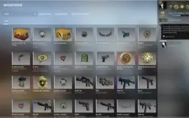 Conta Steam 7 anos de serviço com 9 medalhas no CSGO.