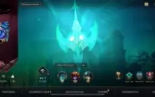 Wild rift