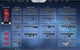 conta com 15k de rp e phantom singularidade valorant