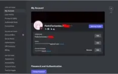 CONTA APOIADOR INICIAL - DISCORD