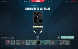 Conta RIOT com contas de Valorant e League of Legends.