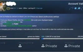 Conta Steam - Level 232 / 03 anos / Sem Banimentos