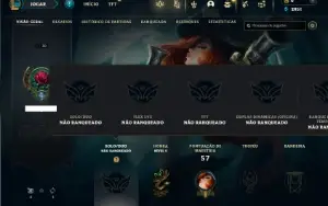 Unranked com 35 Champs e 3 Skins ( UPADA A MÃO )
