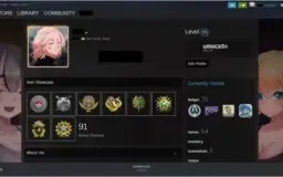 CS:GO PRIME | 8 MEDALHAS | AGUIA 1 | LV 55 STEAM