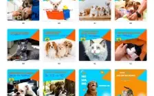 Pack Canva Petshop Vol 1 - 100 Artes Editáveis